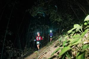 BIB: 
                            <button type="button" onclick="openModal(28118439)" class="btn btn-primary btn-sm float-right btn-popup" data-toggle="modal" data-target=".modal-high-quality">
                        <i class="fas fa-shopping-cart"></i> Add to Cart
                    </button>
                                            <button type="button" onclick="isThisMe(28118439, true)" class="btn btn-success btn-sm float-right btn-popup btn-isme hidden" data-toggle="tooltip" data-placement="bottom" title="นี่คือรูปของคุณใช่ไหม คลิกที่นี่เพื่อเอาเข้าอัลบั้ม">
                        <i class="fas fa-plus"></i> Add to album
                    </button>
                    <button type="button" onclick="isThisMe(28118439, false)" class="btn btn-warning btn-sm float-right btn-popup btn-isnotme hidden">
                        <i class="fas fa-ban"></i> Remove from album
                    </button>